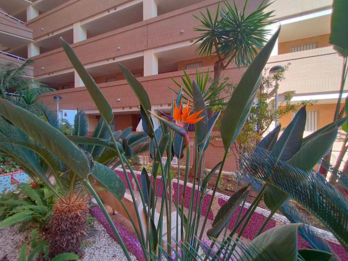 Acv - Costa Caribe I-2ª Linea Planta 1 Sur Apartment Oropesa del Mar Exterior photo